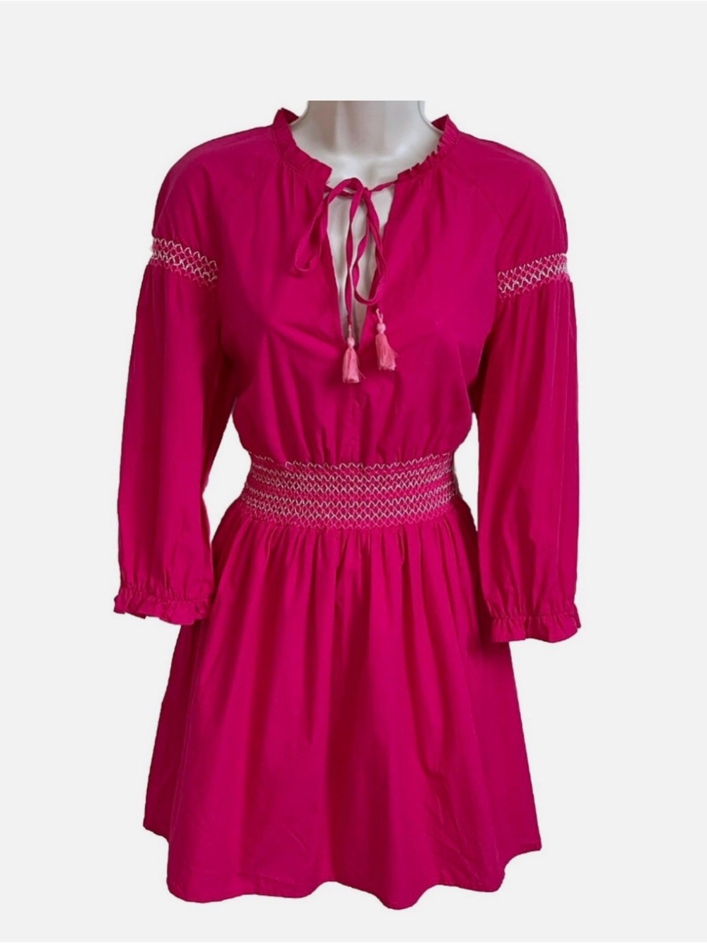 Zara Fuchsia Pink Smocked Poplin Embroidered Mini Dress